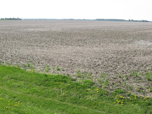 Property photo 12 - 172 Acres Offered in 3 Tracts - Prime Farmland